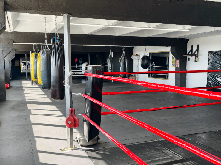 Rând de saci de box galbeni și negri, lângă ring
